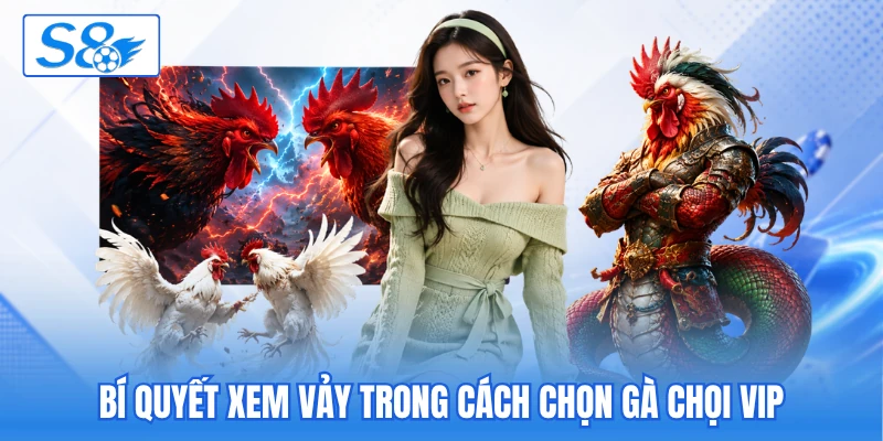 Bí quyết xem vảy trong cách chọn gà chọi vip Bí quyết xem vảy trong cách chọn gà chọi vip