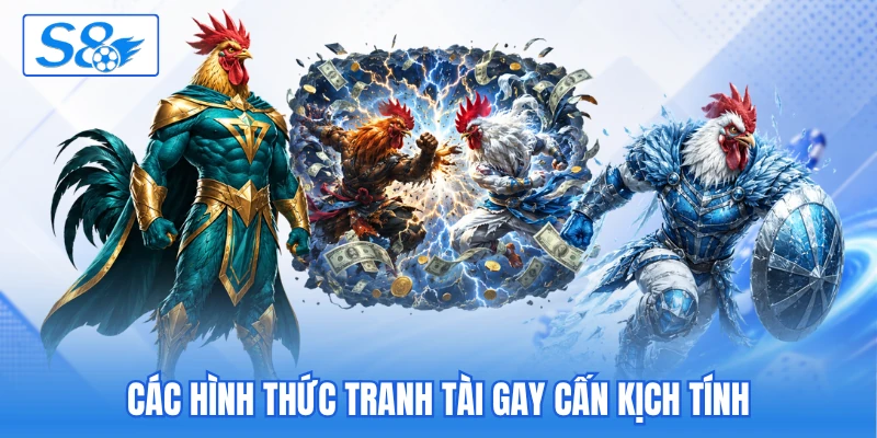 Các hình thức tranh tài gay cấn kịch tính Các hình thức tranh tài gay cấn kịch tính
