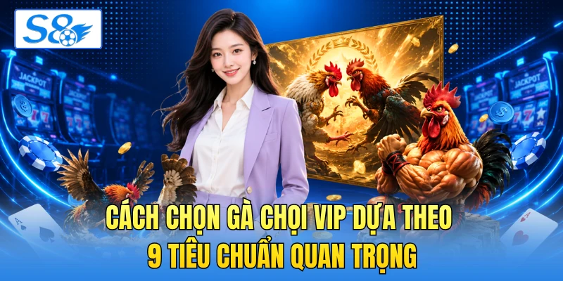 Cách Chọn Gà Chọi Vip Dựa Theo 9 Tiêu Chuẩn Quan Trọng