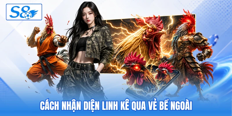 Cách nhận diện linh kê qua vẻ bề ngoài Cách nhận diện linh kê qua vẻ bề ngoài