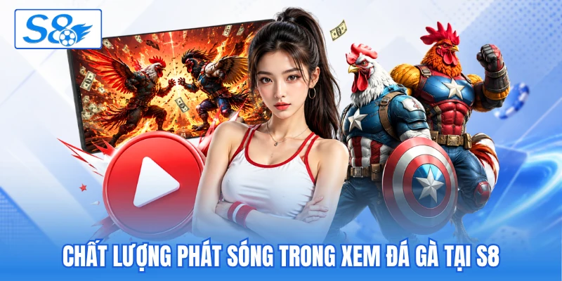 Chất lượng phát sóng trong xem đá gà tại S8 Chất lượng phát sóng trong xem đá gà tại S8