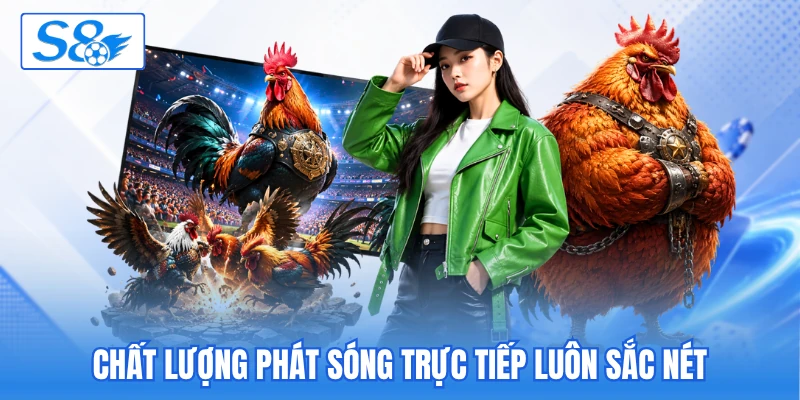 Chất lượng phát sóng trực tiếp luôn sắc nét
