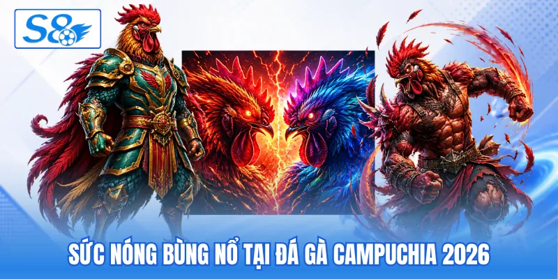 Sức nóng bùng nổ tại đá gà Campuchia 2026 Sức nóng bùng nổ tại đá gà Campuchia 2026