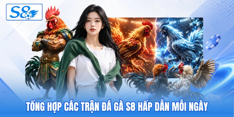Tổng hợp các trận đá gà S8 hấp dẫn mỗi ngày