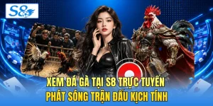 Xem đá gà tại S8 trực tuyến phát sóng trận đấu kịch tính