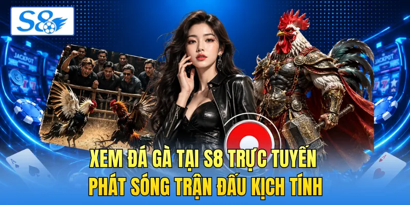 Xem đá gà tại S8 trực tuyến phát sóng trận đấu kịch tính